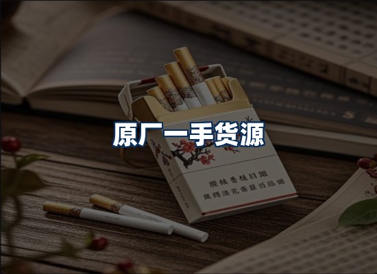 专业团队办公环境